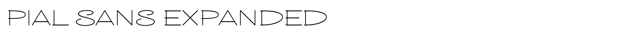 Pial Sans Expanded image
